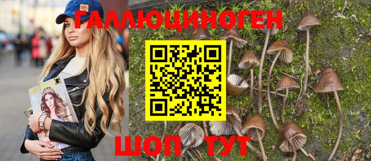 Галлюциногенные грибы мухоморы Рыбинск